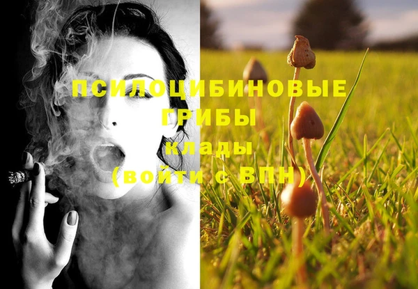 винт Алексеевка