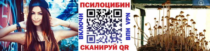 Псилоцибиновые грибы прущие грибы мега рабочий сайт Фатеж